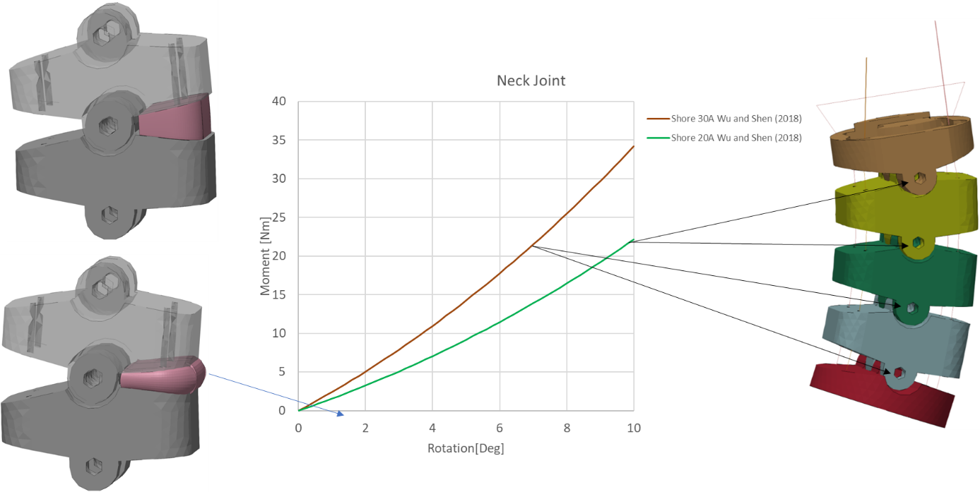 Neck rubber model