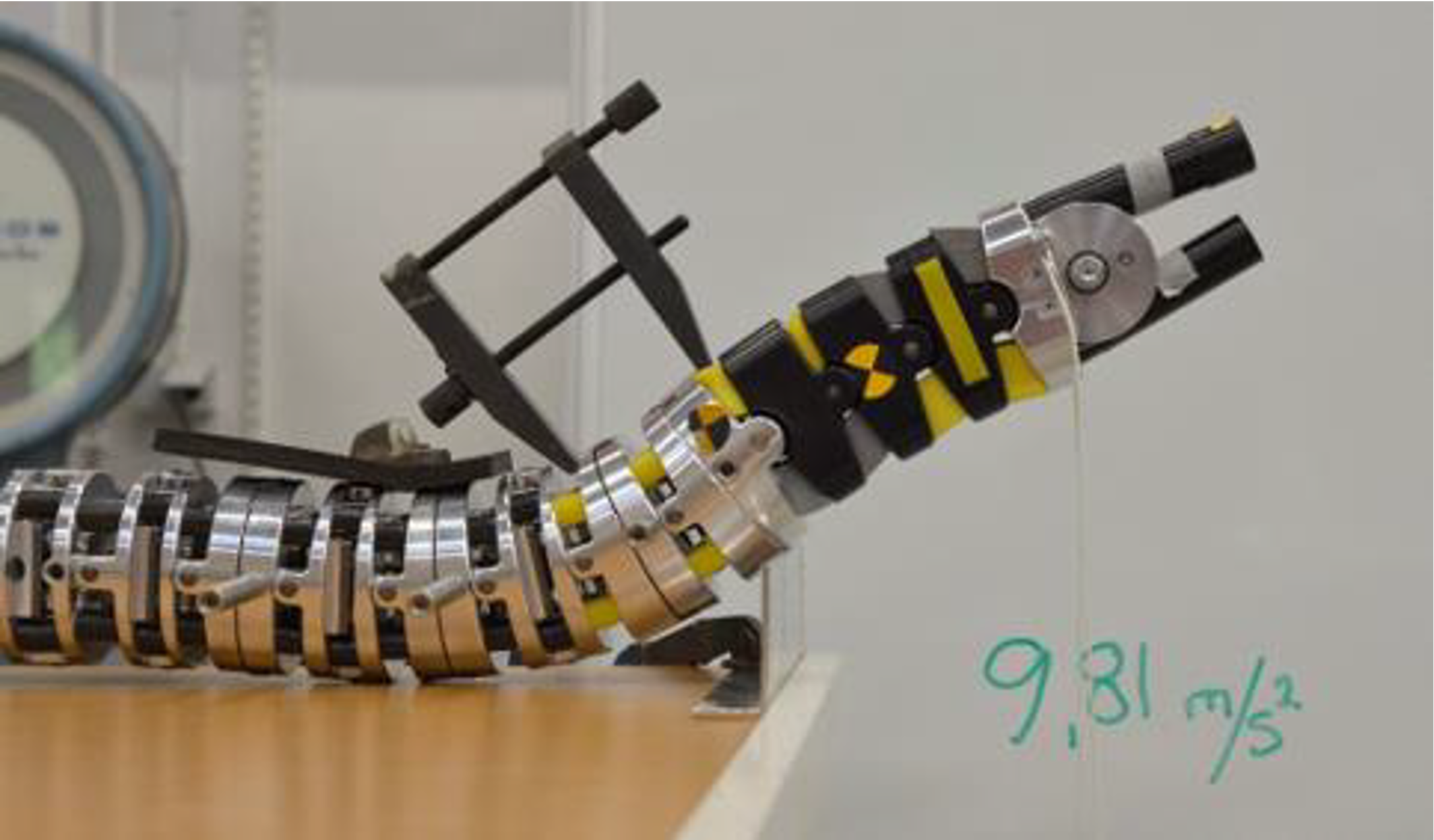 Neck bending test setup